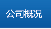 公司概况