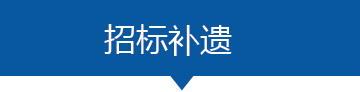 招标补遗