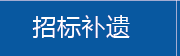 招标补遗